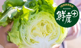 鮮度 +